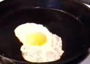 One Fried Egg